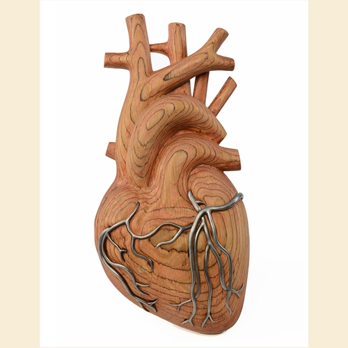 "Anatomy of a Heart"