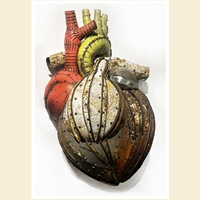 "The Human Heart"